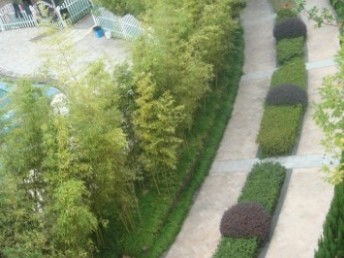 图 盆栽花卉植物销售 租赁 园林绿化设计 施工 养护 北京鲜花绿植